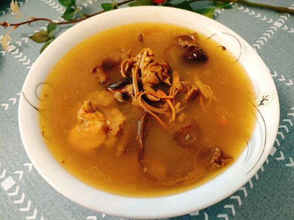 虫草花胶炖老鸡 2026年虫草花胶炖老鸡汤的做法