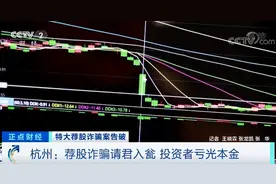 “荐股团伙”被抓！这种“炒股平台”千万别碰！资金全部流入骗子口袋图片