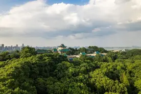 武汉大学发布重要通知图片