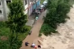 这个黑衣人，找到了图片