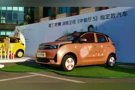 “草根”雷丁的大野心：要做中国电动K-Car之王？图片