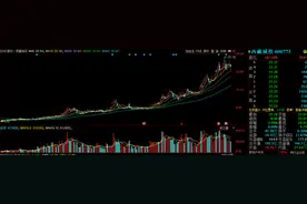 房地产跨界锂矿！西藏城投涨疯 曾因环保停摆九年 今续期未量产图片