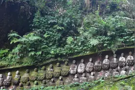 四川深山10颗明代佛头被盗4年后“回家”：看了《盗墓笔记》，4毛贼临时组合盗佛头图片