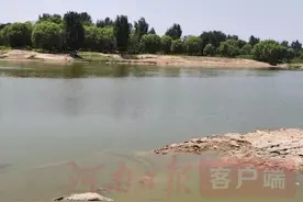 南阳白河河床惊现3.6米长古象牙化石图片