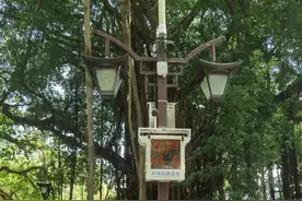 超标就报警！福州人公园游玩要注意了图片