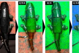 韩国研究者研发“变色龙”机器人，可用于军事侦查和隐蔽图片