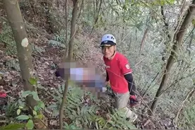 男子进山抓地雷蜂失联3天，被找到时已不幸身亡，身上有三只蜂还在蛰图片