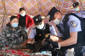 吐尔洪边境派出所民警救助国家二级保护鸟类鸬鹚图片