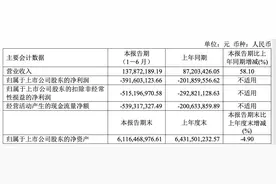 寒武纪半年亏3.92亿去年同期亏2亿，研发投入为营收3倍图片