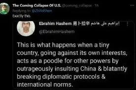 中国驻立陶宛大使发推说“再见”，这条网友评论点赞量最高图片