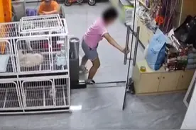 东莞一女孩在宠物店用玻璃门夹死小猫，无心还是有意？图片