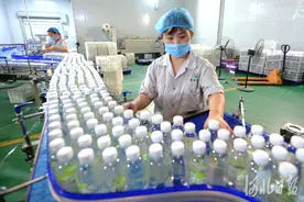 河北巨鹿：农产品加工促增收图片