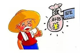 天门发放1.6亿元补贴！约30万农户受益图片