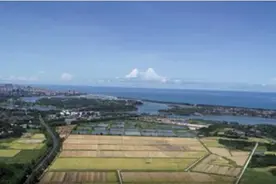 深读 | 文昌再造“虾苗谷”打造国家水产种业南繁基地图片