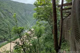 重庆一景区悬崖挂食物恶搞野猴？官方回应：正常投喂，拍摄角度造成误会图片