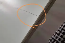 如此“顾家”，顾的是谁的家？图片
