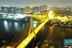 鹤洞大桥 春节再见图片