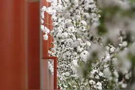 陪你走遍北大四季图片