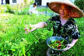 无辣不欢，辣椒凭啥征服湖南人图片