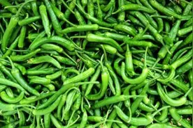 又有老板卖假樟树港辣椒吃官司！产业协会秘书长：全国有近20万亩种冒牌的图片