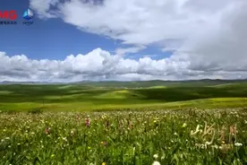 山河岁月 五月的鲜花MV ——纪念日本无条件投降76周年