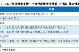 陕西将发行46亿专项债，注资20家县级农信社和秦农银行图片