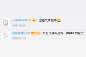 拦不住了，东北话传入动物界！这只鹦鹉东北话大概有十级图片