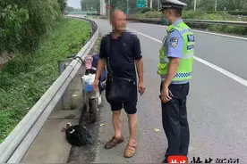 活久见！男子高速上翻护栏只为抓野鸭子图片