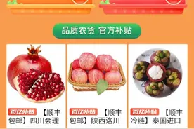 拼多多上线第三届“农货节”“百亿补贴”涉农商家破万图片