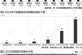 深圳一区GDP超13个省会城市，百强区都在哪里图片