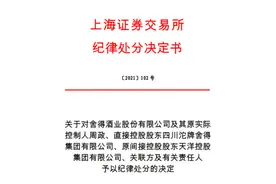 违规资金占用！舍得酒原实际控制人遭上交所纪律处分图片