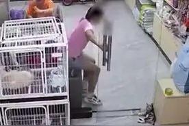 网曝东莞一女孩在宠物店用玻璃门夹死小猫，店主已联系到家长图片
