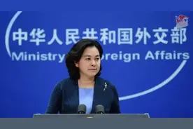 华春莹：民主没有固定模式，“就像中国胃不适合每天喝冷牛奶，美国人不习惯用筷子”图片