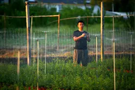 苗圃上“新装”，智能喷灌系统让半天的活40分钟轻松搞定图片