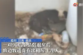 南京情侣退房后把宠物狗遗弃出租屋，浑身屎尿皮肤生蛆，救助人士：太惨了图片