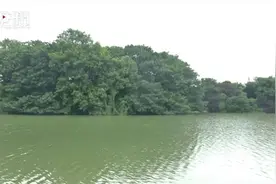 15年无人踏足，长沙这个“鸟的天堂”成新晋网红打卡点图片