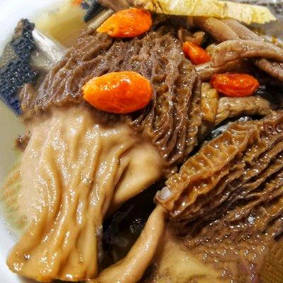 瑶柱花胶羊肚菌煲鸡 2026年羊肚菌花胶瑶柱炖鸡好处