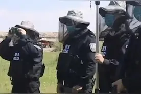 一巴掌可以拍死100多只蚊子！他们的日常是这样的图片