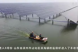 山东沾化：“渔光一体”绿色养殖  盐田虾市场畅销视频封面
