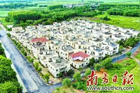 湛江雷州 国家历史文化名城绘就乡村振兴新蓝图图片