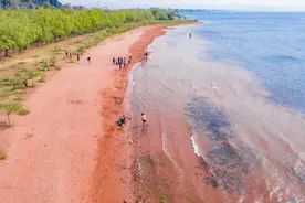 又有网红打卡地出“照骗”？别被它们迷了眼图片