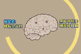 为什么下雨天好睡觉？图片