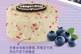 哈根达斯“月饼”外皮宣称巧克力，被罚10000元！目前多个新款标注“巧克力味”脆皮图片