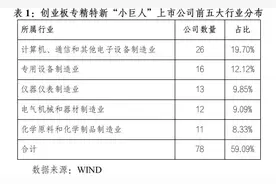 创业板132家专精特新“小巨人”图谱：80%企业市值不足100亿元，头部公司业绩增速显著图片