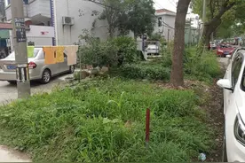 改造停车位、雨污分流、安装路灯……松江这个老别墅小区大变样图片