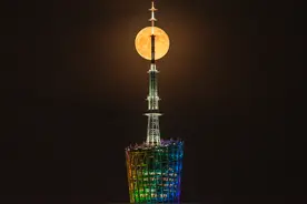 广州塔与金色圆月完美相遇图片