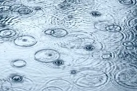 上游•夜雨丨杨平：下雨的时候 （外一首）图片