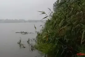 两老人杀人沉尸案将二审：一审分获死刑和无期，翻供称遭刑讯逼供图片