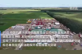重大突破！我国发现预测地质储量12.68亿吨页岩油图片