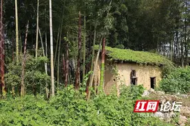 同村老者的离世经历告诉我：父母在，不远游图片